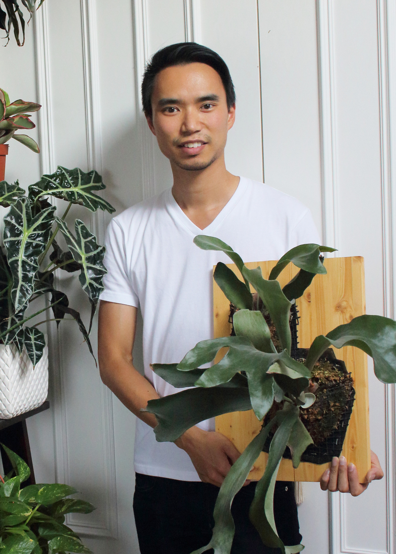 Darryl Cheng holding a framed houseplant