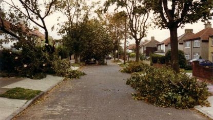 Fallen trees in Sidcup, Kent, after the Great Storm of 1987