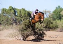 harriet-walker-safari-blog.jpg