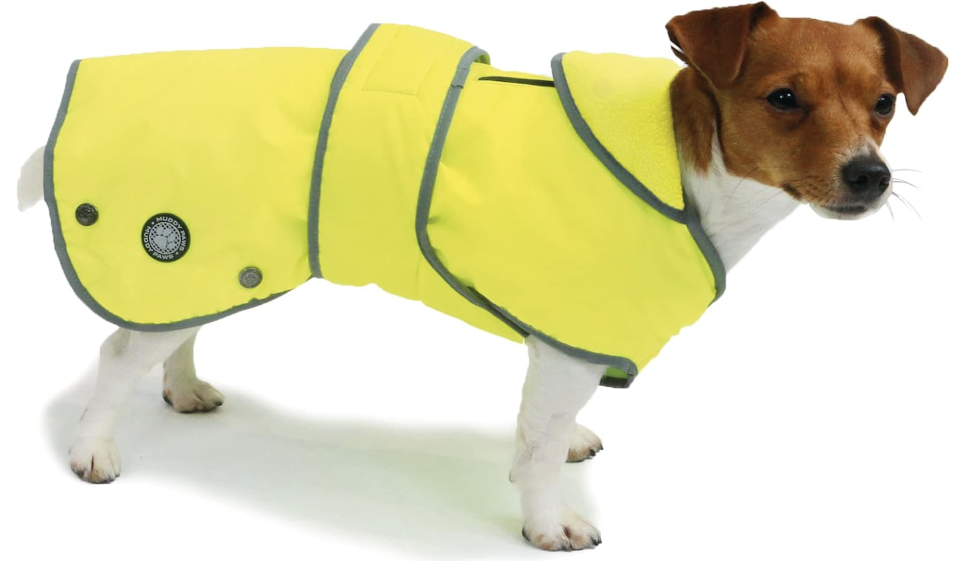 Ancol Muddy Paws high-vis coat on terrier
