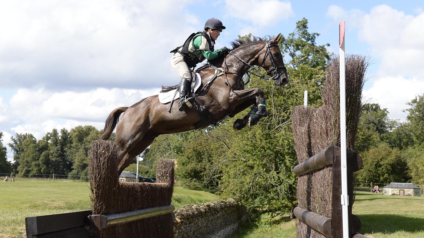 Event horse Islanmore Ginger has died age 22