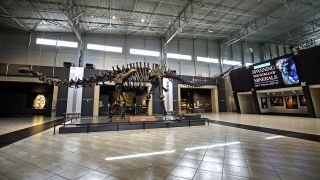 Tellus Science Museum in Cartersville, GA recently invested in a wide range of digital displays from LG Business Solutions USA, including a 15-foot-wide, 2.5mm LED wall with a mounting system from Peerless-AV. 