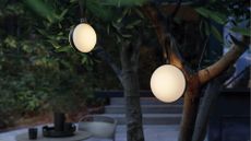 Twp Nortlux To-Go portable outdoor lights hanging from the branches of a tree in a backyard at night
