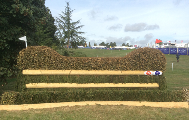 Blenheim Fences 2018