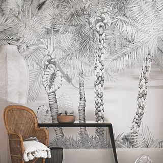 monochrome tree wallpaper