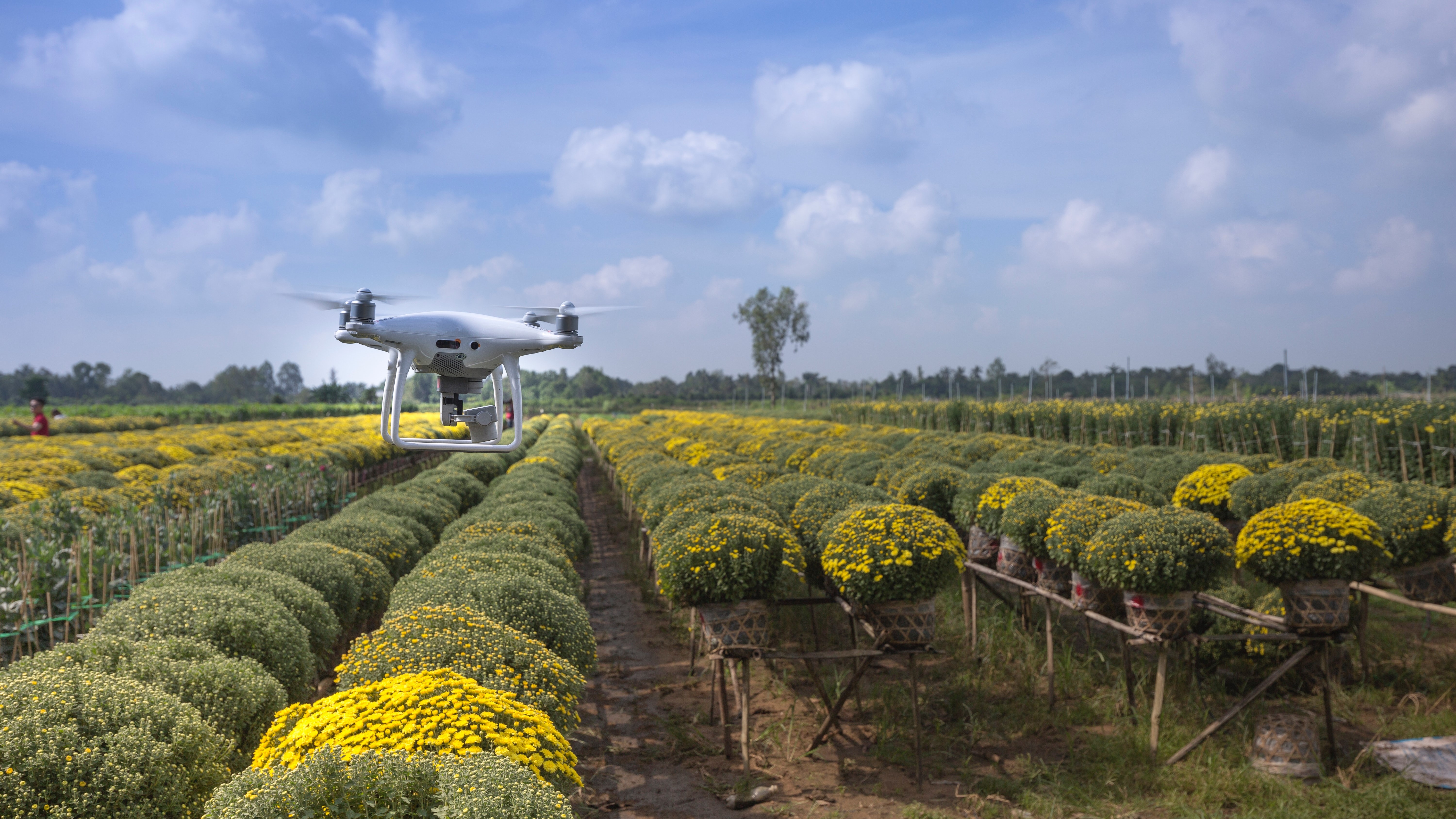 Future farming solving industry issues with AI and robotics TechRadar