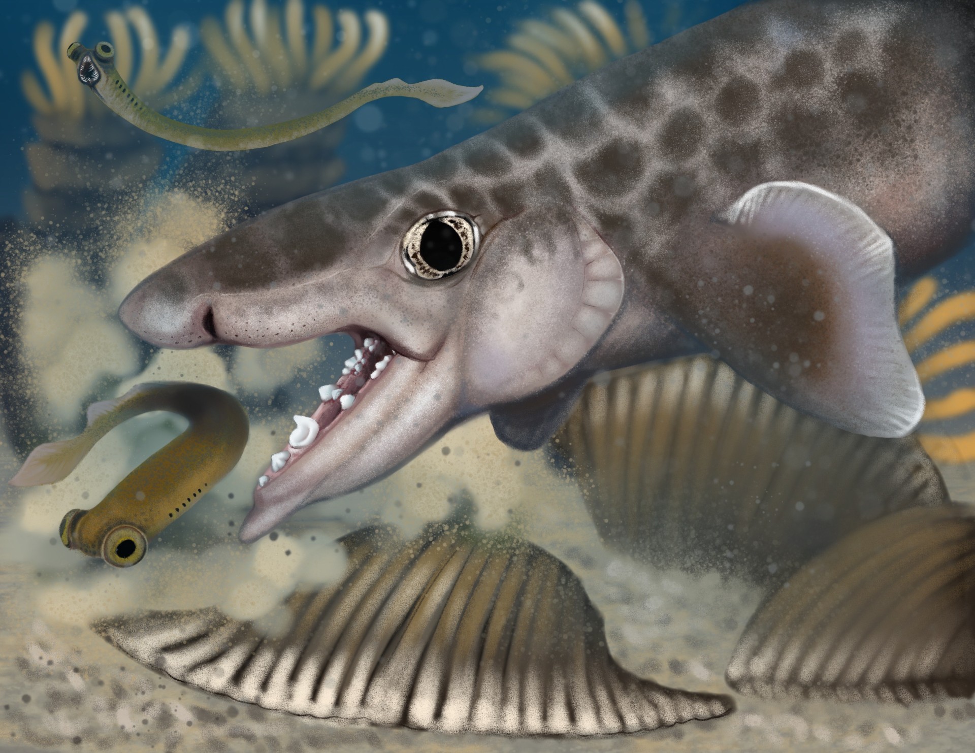 An illustration of Macadens olsoni hunting in the Mississippian Sea.