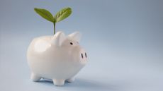 A piggy bank has a sprout going out of it.