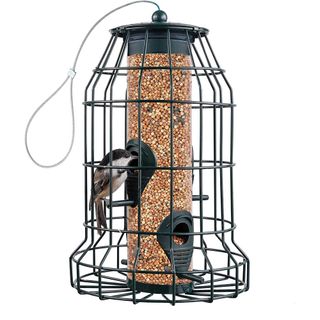 SEWANTA squirrel-proof bird feeder