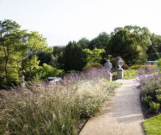 A walkway flanked by tall, feathery grasses and purple verbena
