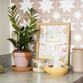 Kitchen counter with pink and white tiles, an indoor plant and a print in frame.
