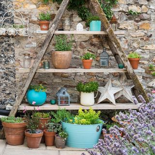 garden with ladder shelf having green plants in pots