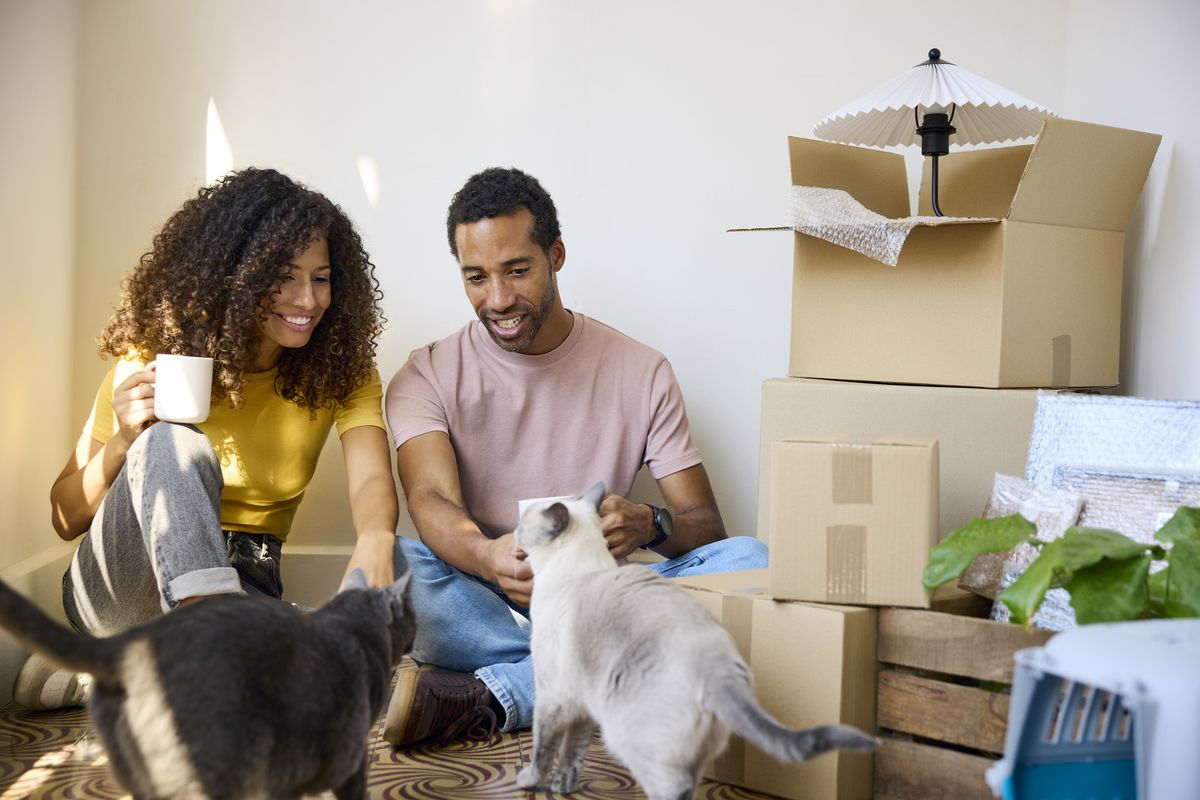 How much does it cost to move house? MoneyWeek