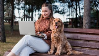 Person sat on a park bench using a Dell laptop, with a dog sat next to them