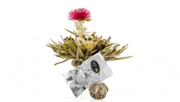 Tealyra Strawberry Sweetheart blooming tea