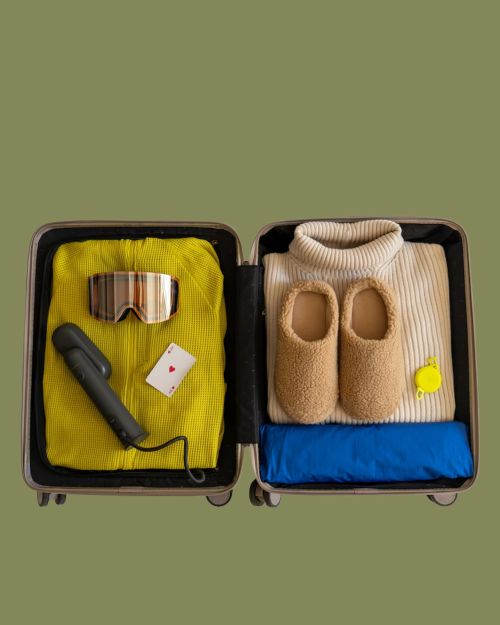 Cirrus Lite Handheld Travel Steamer