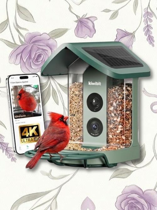 Solar Smart AI Bird Feeder With Camera