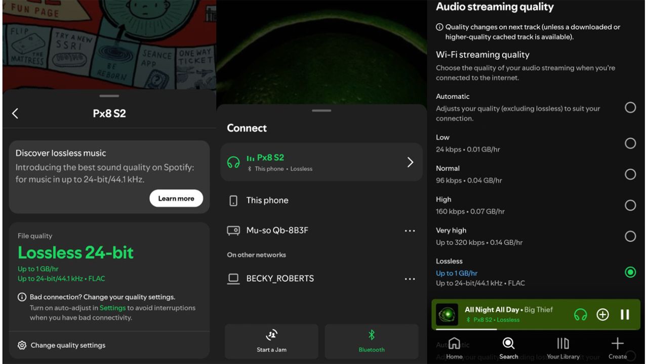 Spotify music streaming service