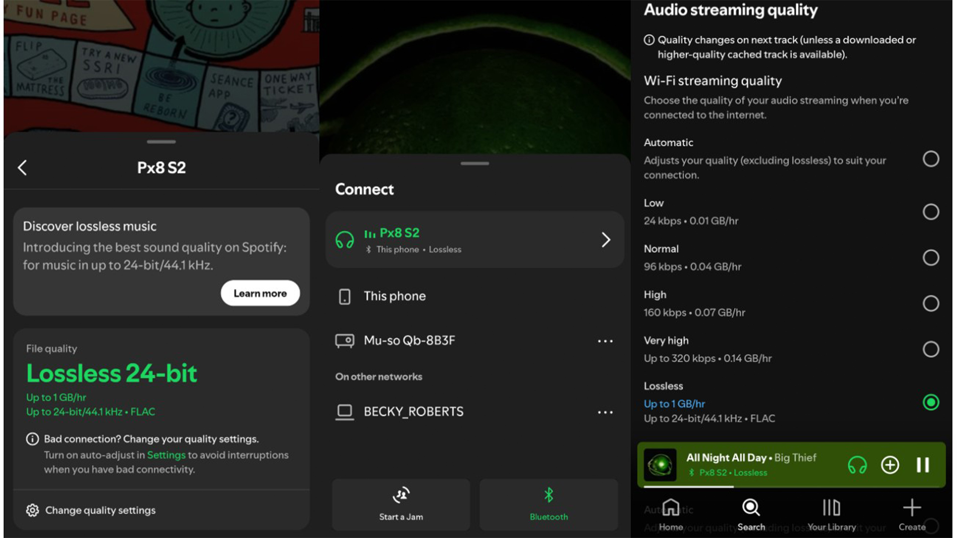Spotify music streaming service showing options/settings screen