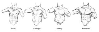 Different fat and muscle ratios result in varied body types