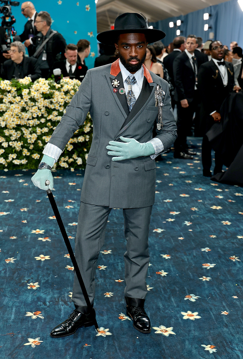 Met Gala 2025 red carpet