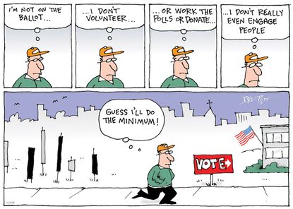 U.S. Minimum vote midterm elections voter turnout