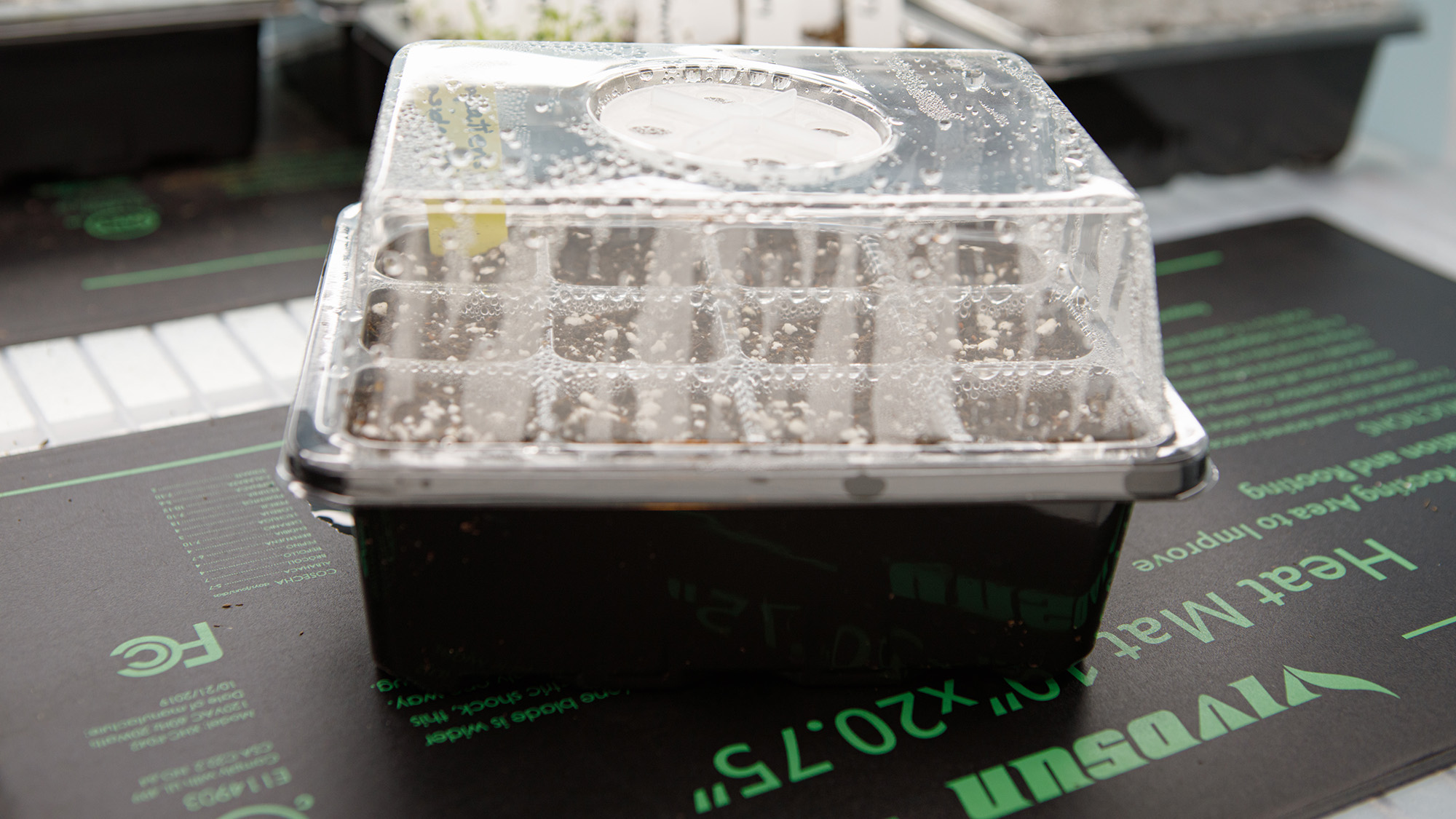 Small seed starting tray and cell pack with a humidity dome germinating on a heat mat