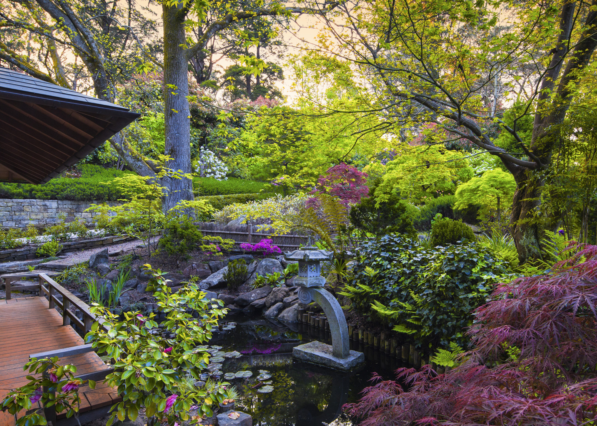 A colorful Japanese garden with maple, floral shrubs, a pond, and sculptures