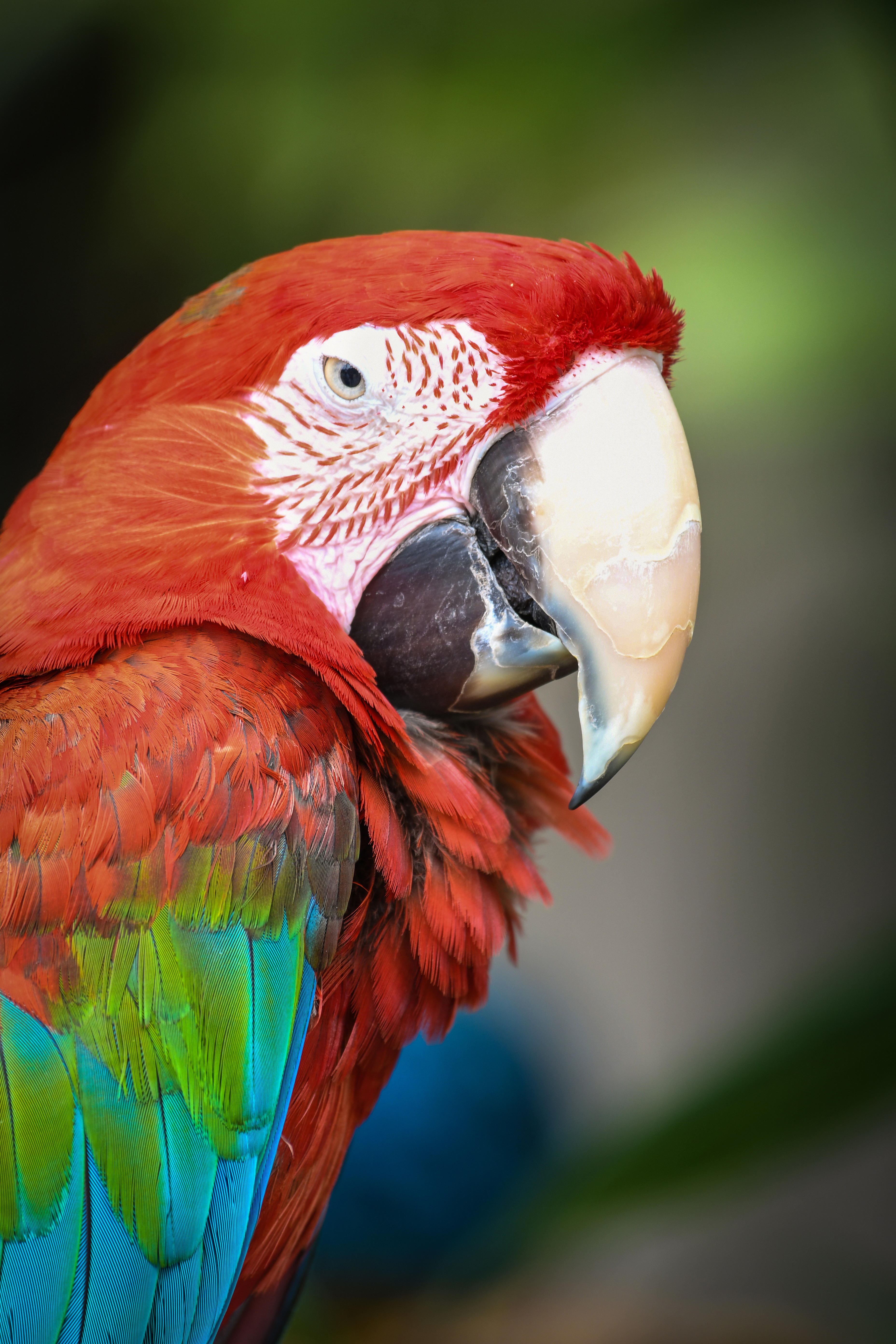 Nikon D500 sample image