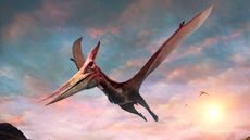The pterodactyl and pteranodon were massive flying predators 