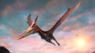 The pterodactyl and pteranodon were massive flying predators 