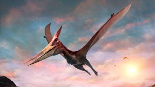 What Was The Pterodactyl? - The Dinosaur Channel 