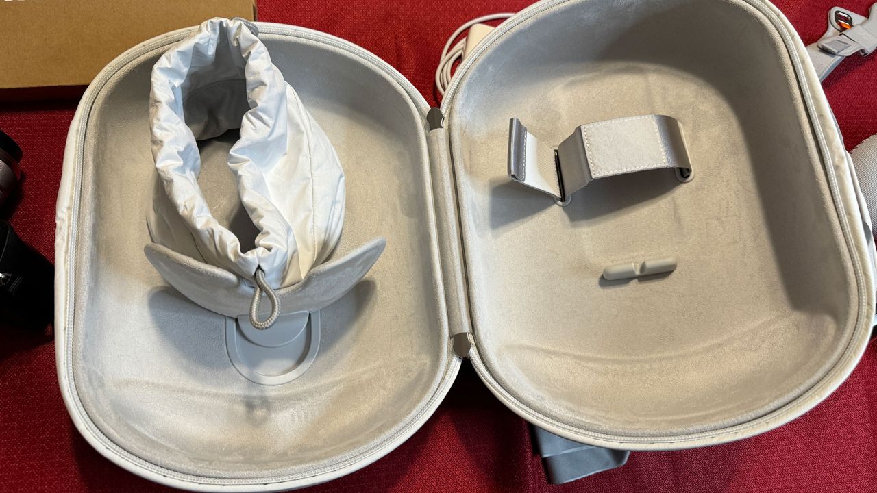 Apple Vision Pro carrying case