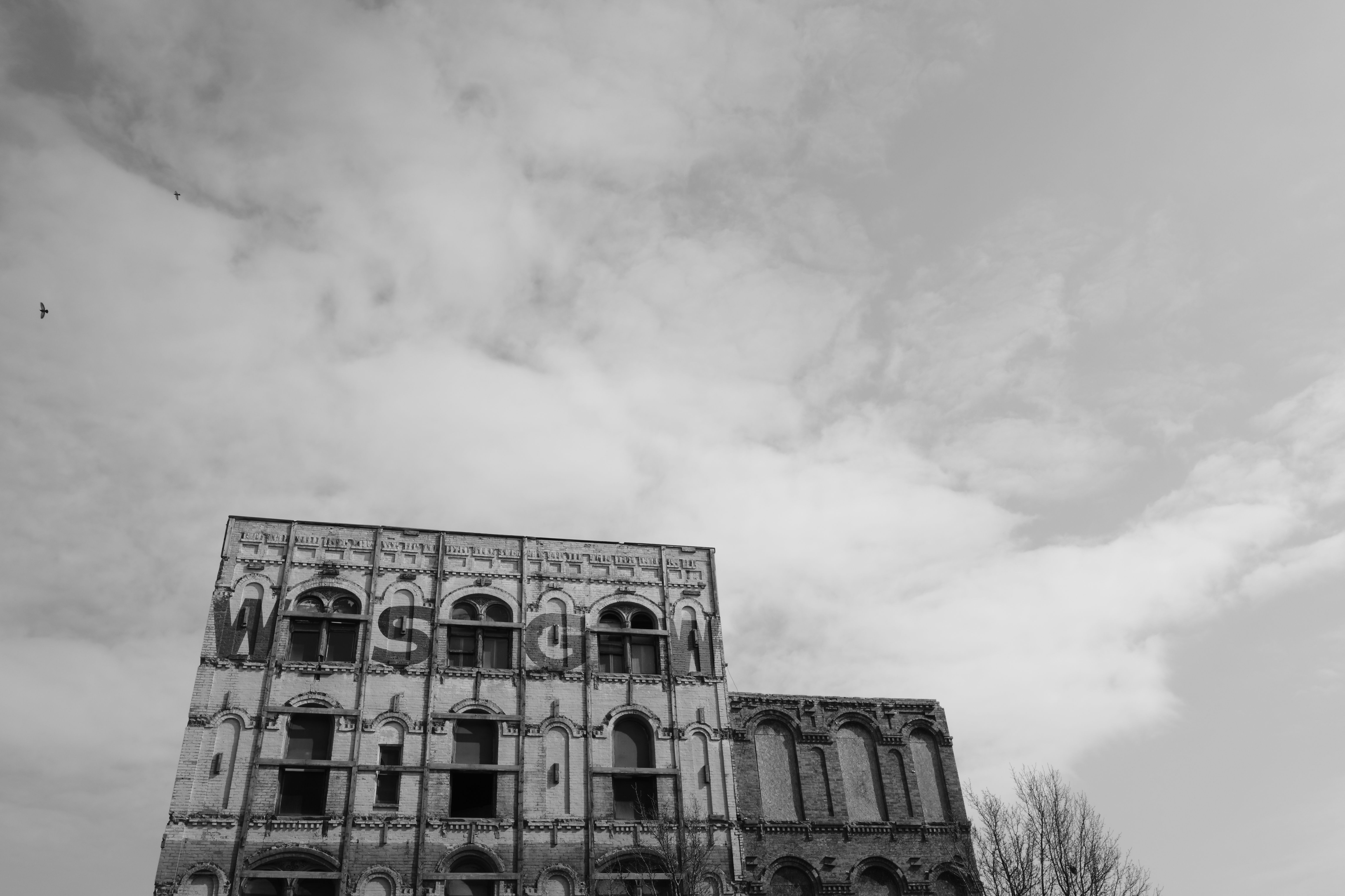 A sample image taken with the Ricoh GR IV Monochrome