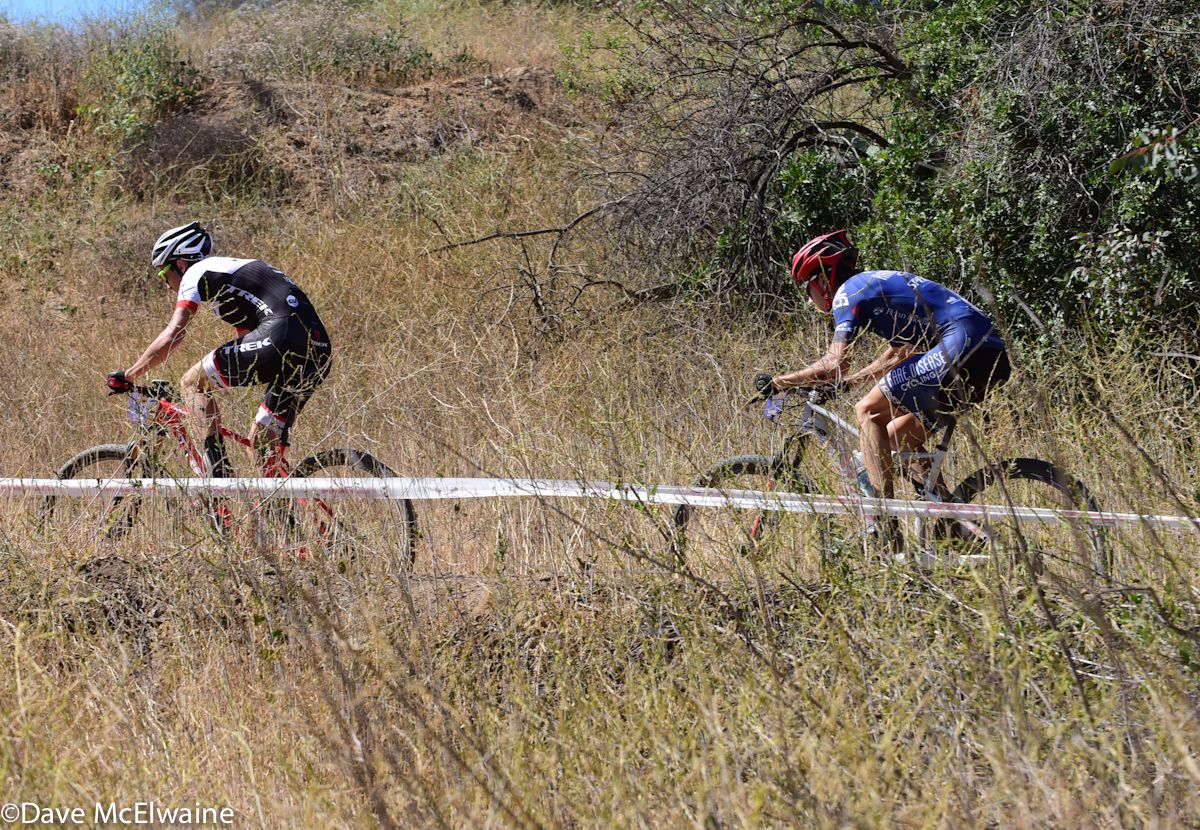 A Trek rider leads through the tall grasses
