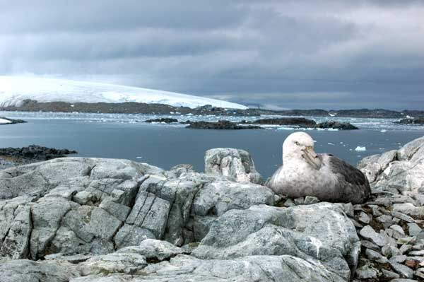 Image Gallery: Life at the South Pole | Live Science