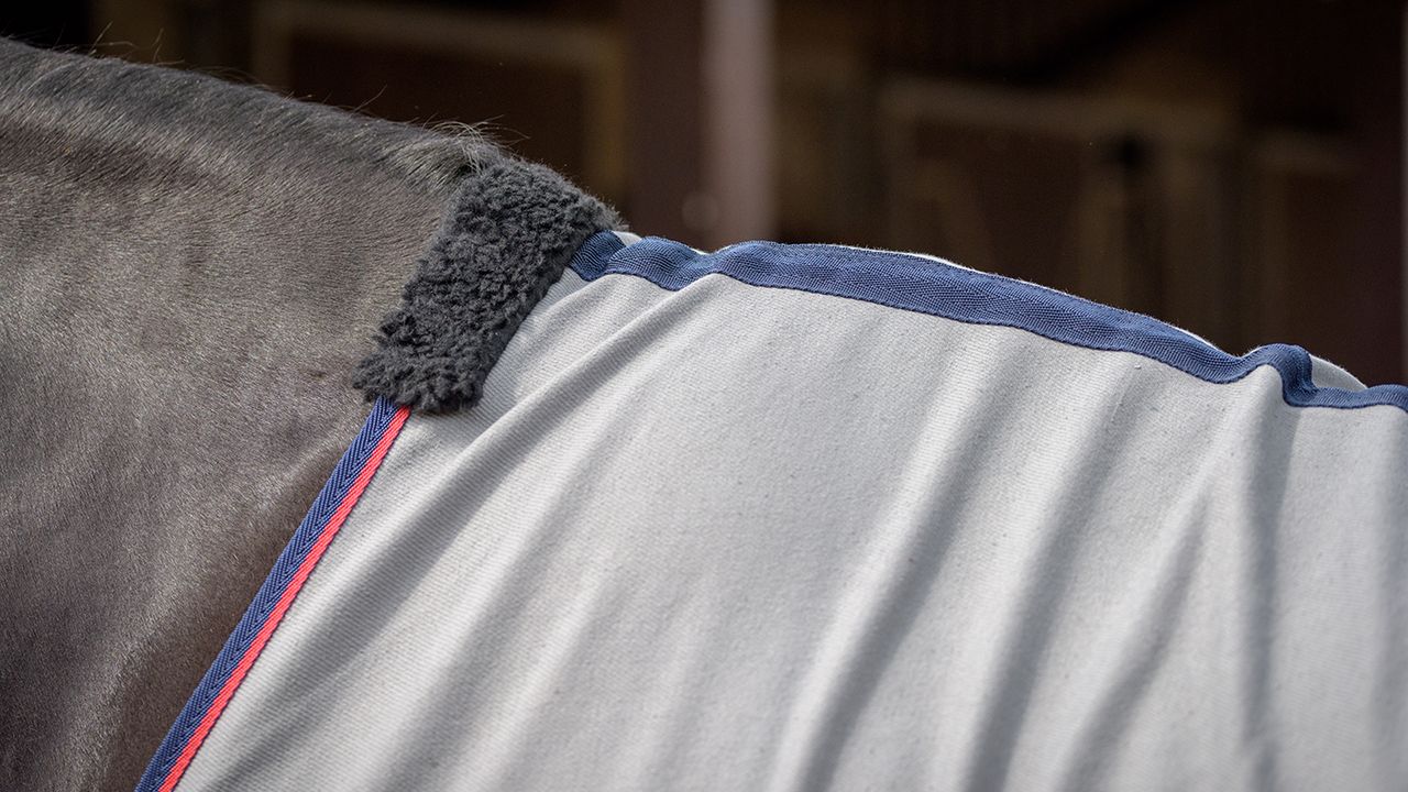 Masta Avante cotton summer sheet review