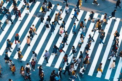 Shibuya crossing in known to be the worlds busiest pedestrian crossing