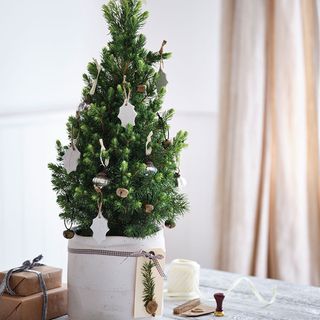 DIY Christmas decor with potted tree