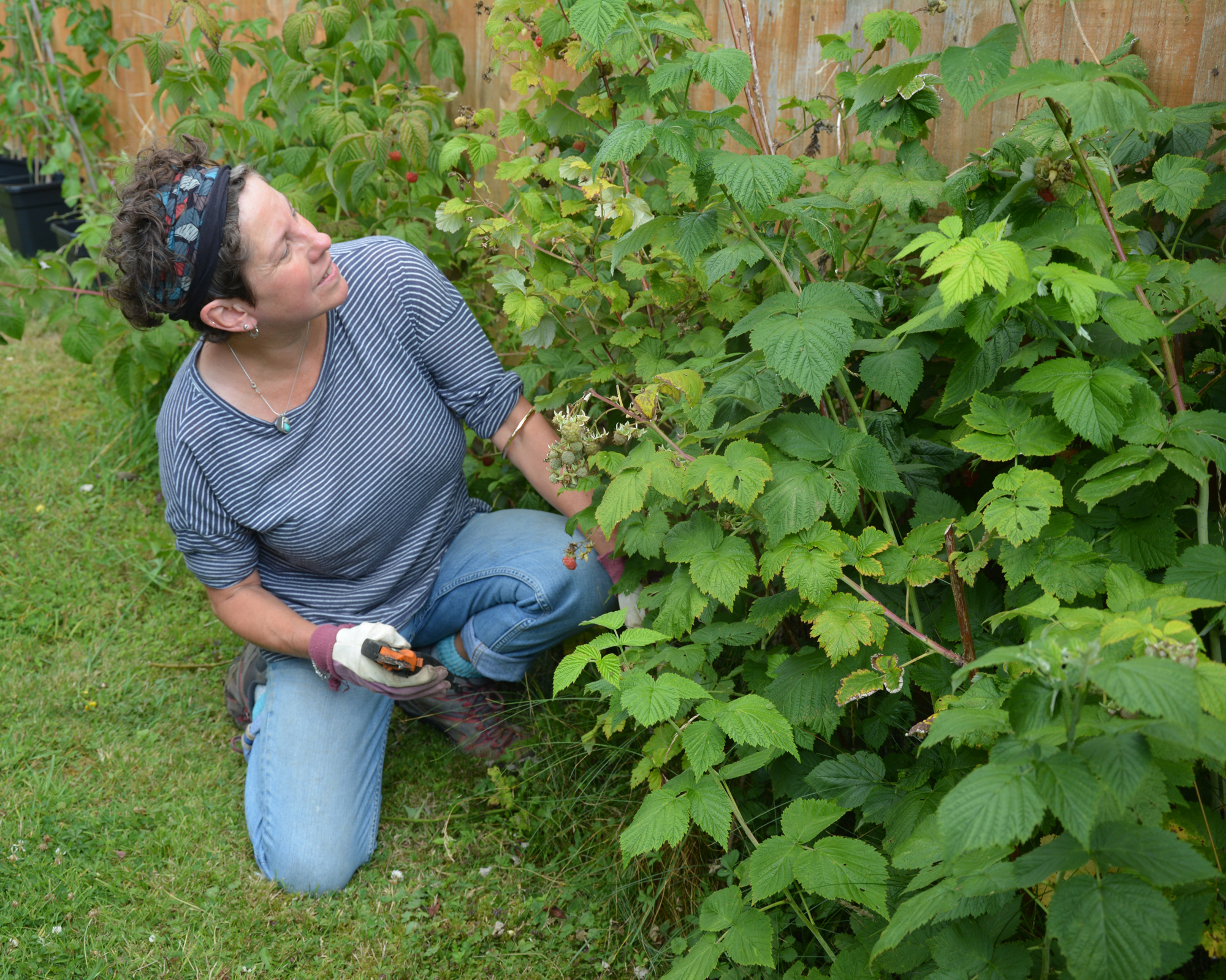 Ruth Hayes in the garden next to raspberry plants