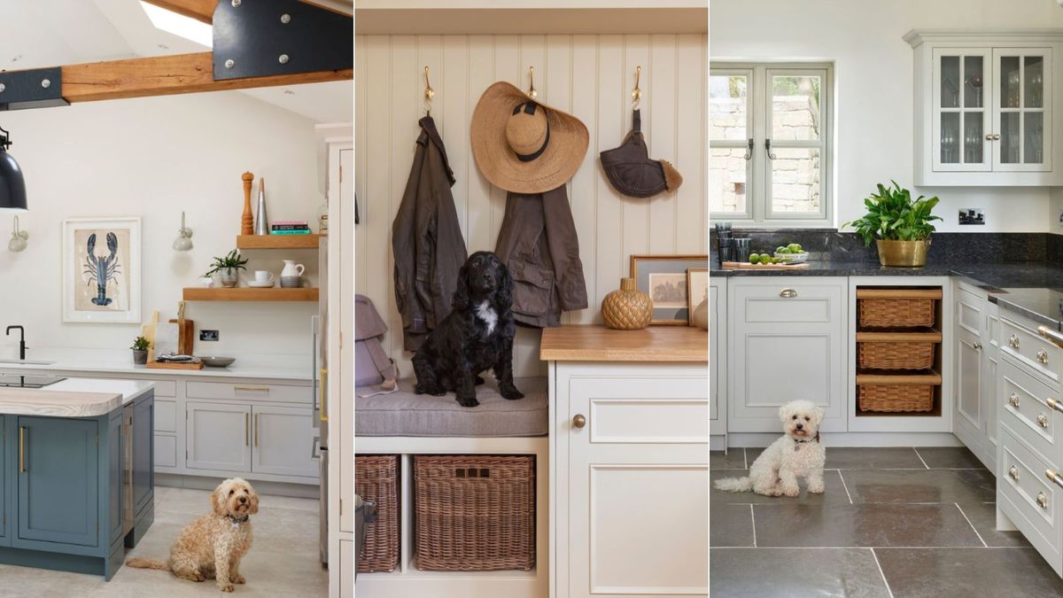 A British Kitchen Brand Just Launched A Kitchen For Pets Homes   6vecQWGvqyPqRLcudMqGKh 1200 80 