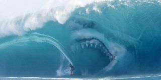 The Meg