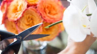 Cutting flower stems at a 45-degree angle