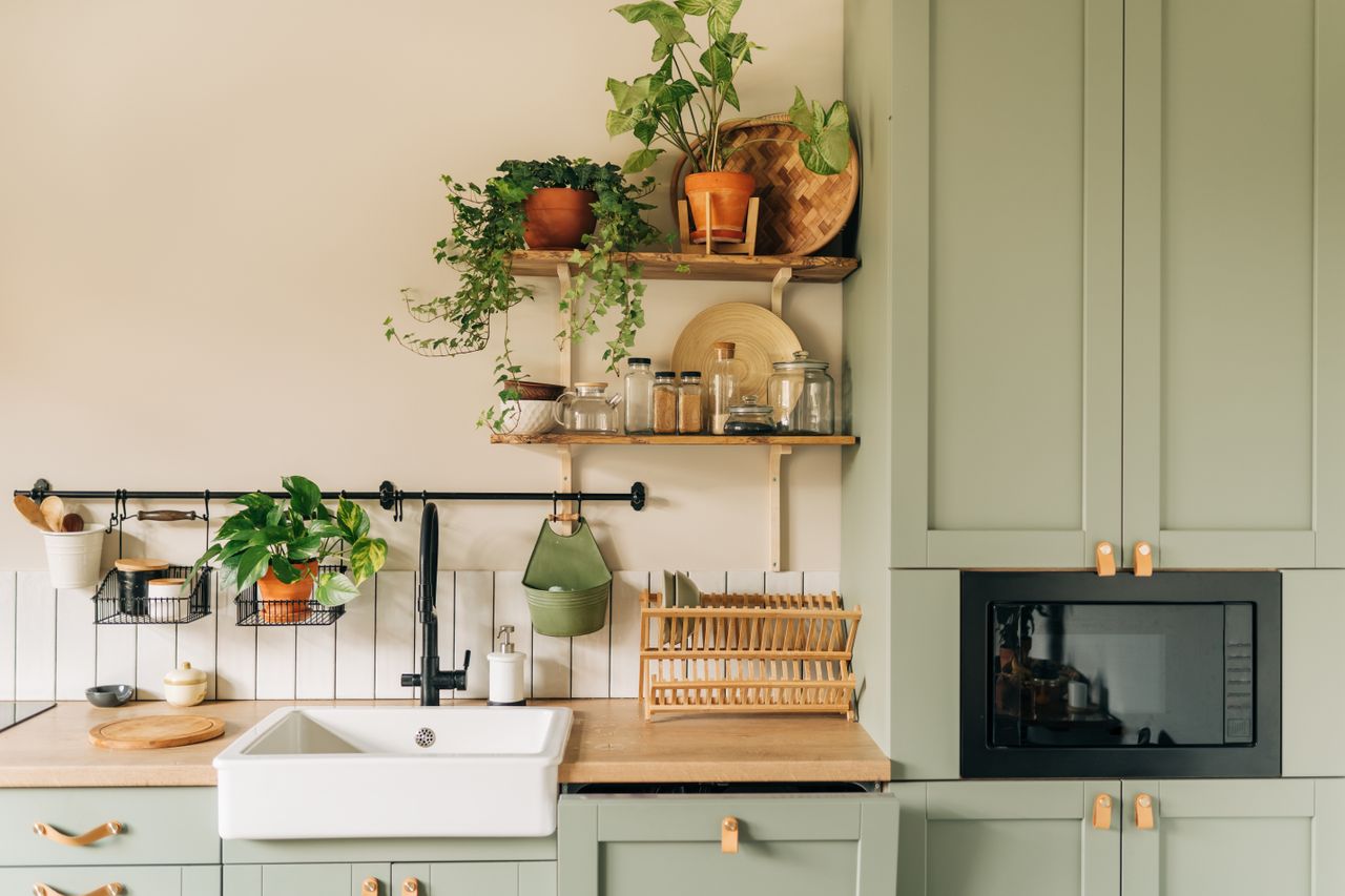 A kitchen with sage green cabinets, wood accents and potted indoor plants