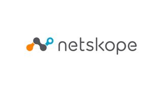 Netskope logo on plain white background