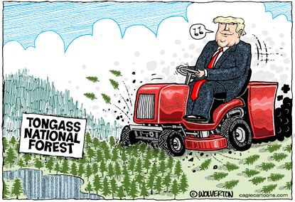 Political Cartoon U.S. Trump Tongass National Forest