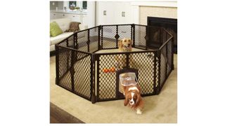 North States MyPet Petyard Passage Dog Playpen