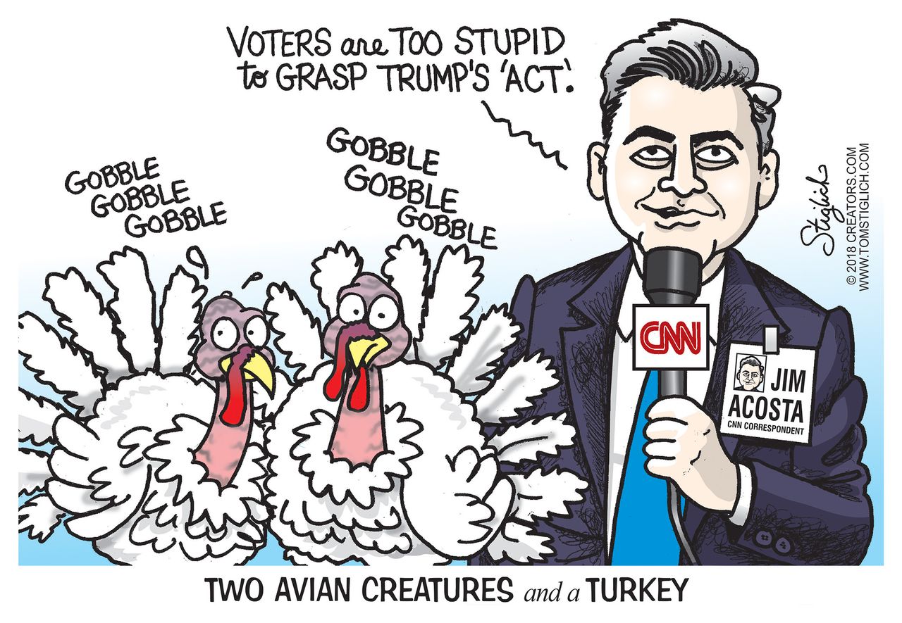 Political cartoon U.S. Jim Acosta CNN Trump act stupid voters avian creatures turkey