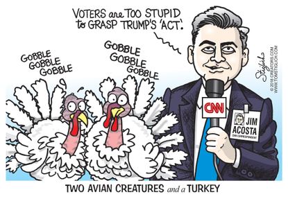 Political cartoon U.S. Jim Acosta CNN Trump act stupid voters avian creatures turkey