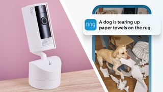 Split image of Ring indoor camera and phone notification